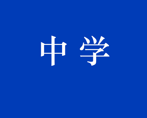 河池市宜州区屏南中学